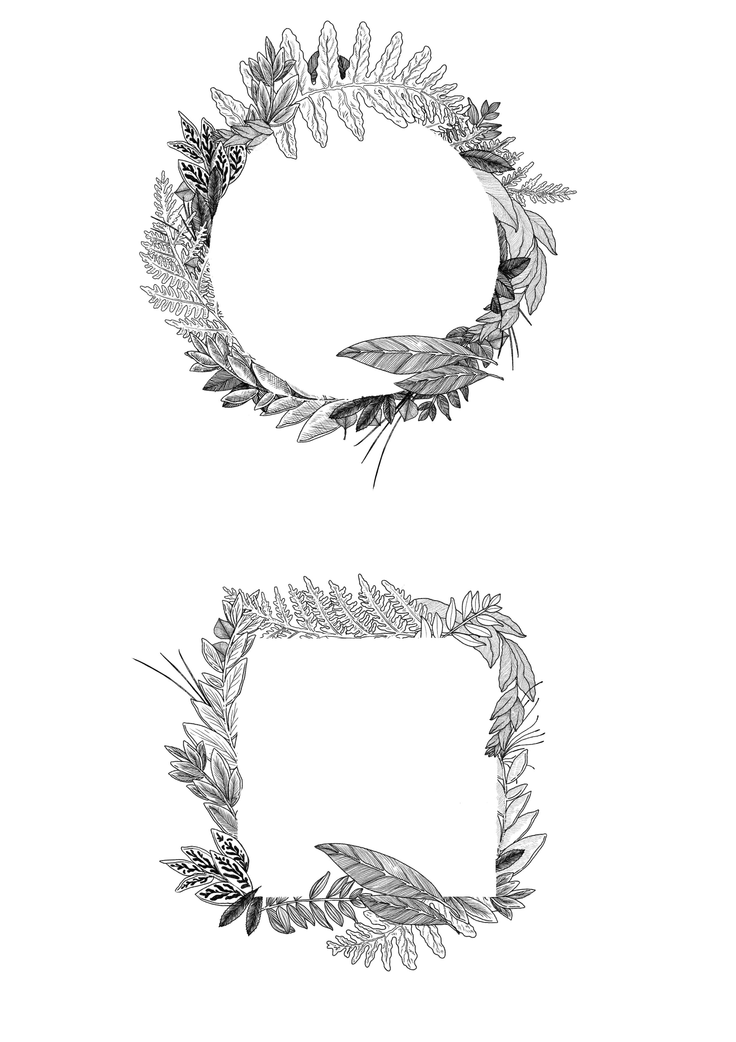 ornamental botanical wreath frames in line illustration