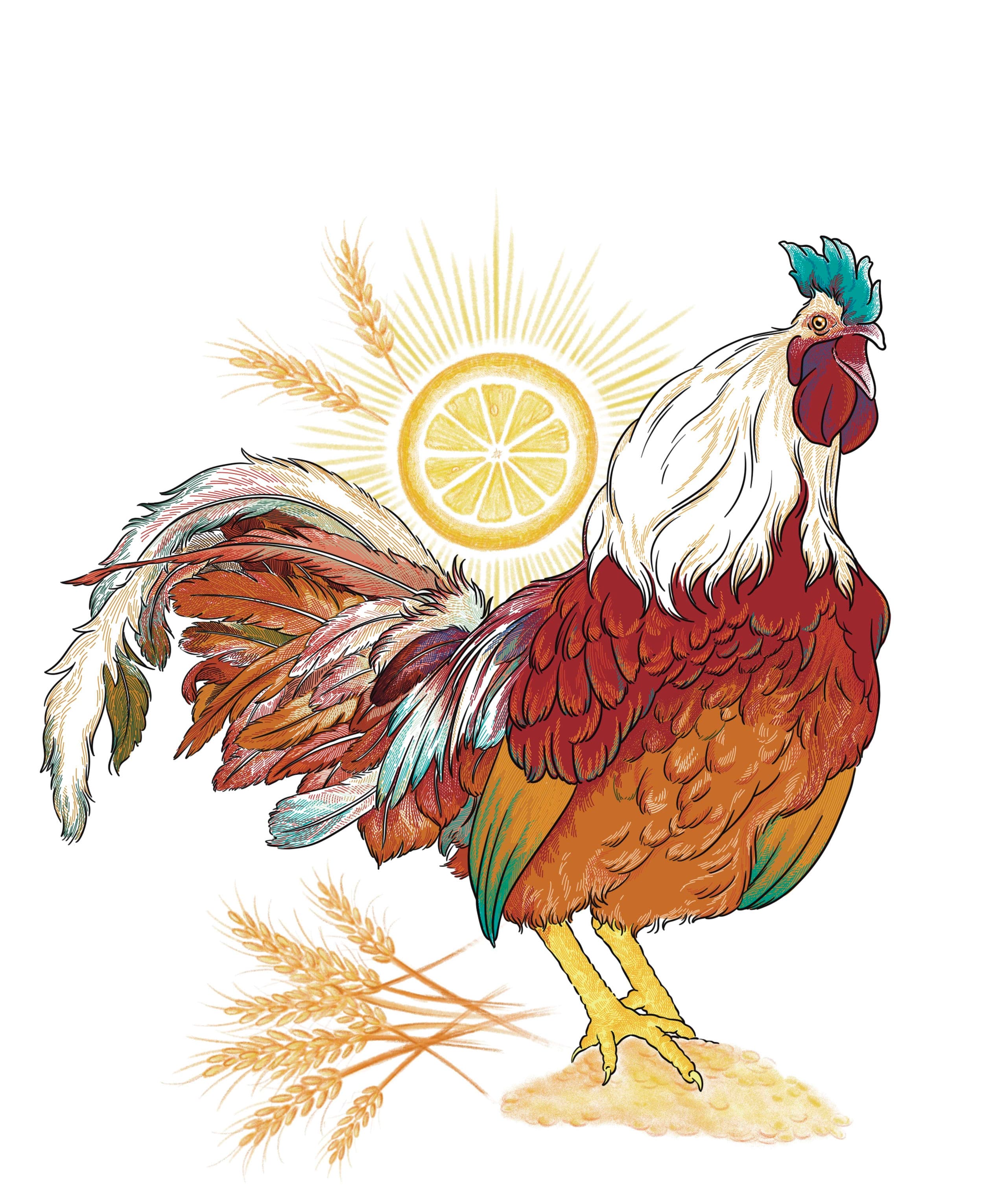 line illustration of a rooster standing in profile
