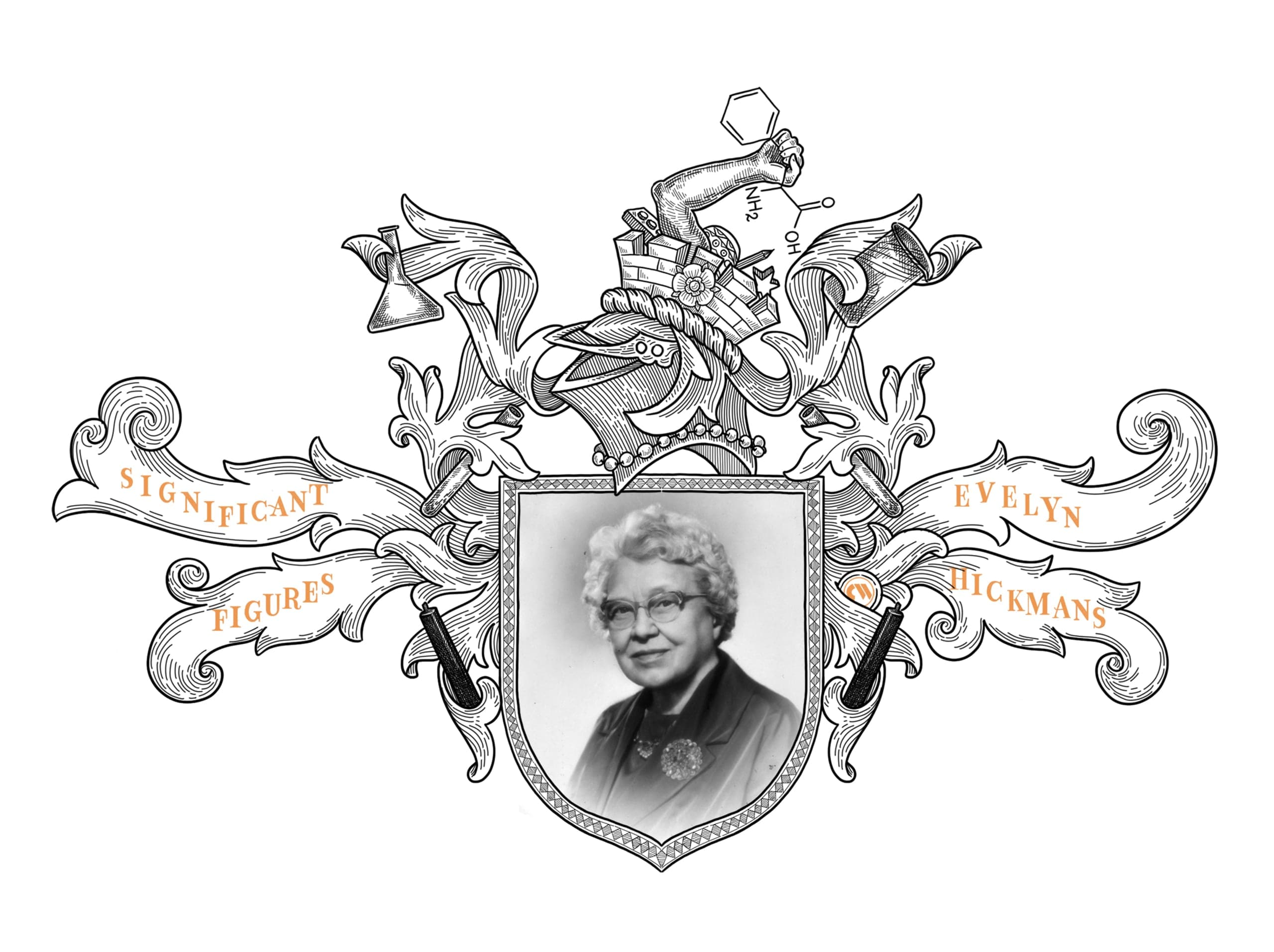 heraldic archival portrait of Evelyn hickmans illustration