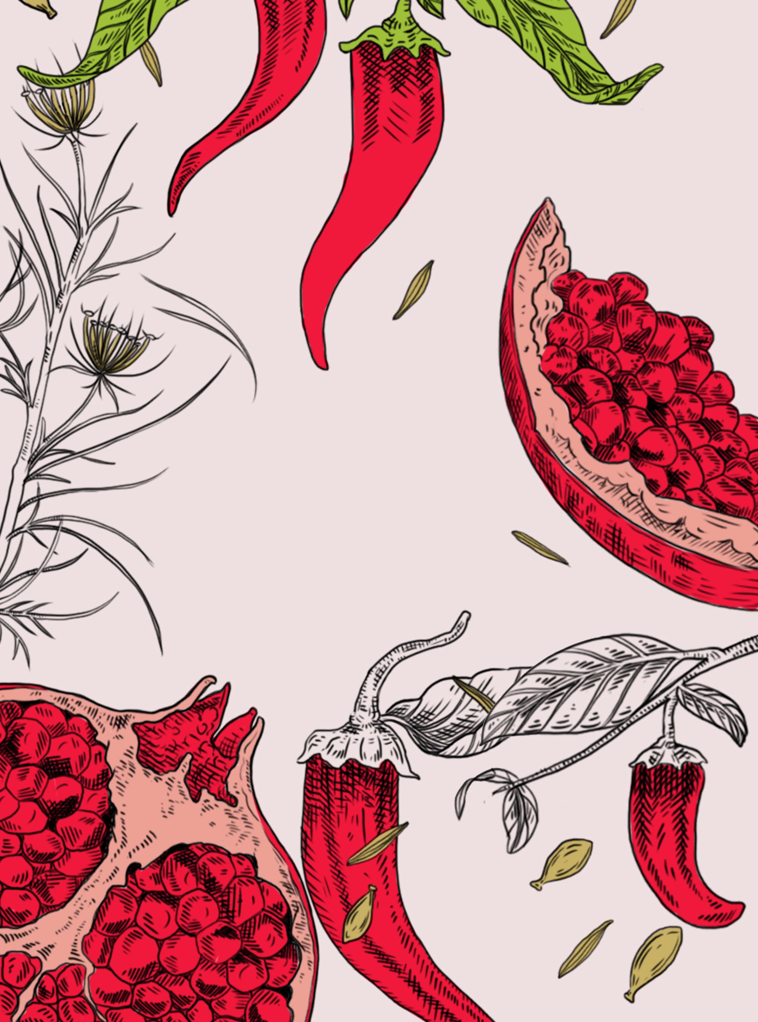 botanical illustration of pomegranates and leaves on pink ground