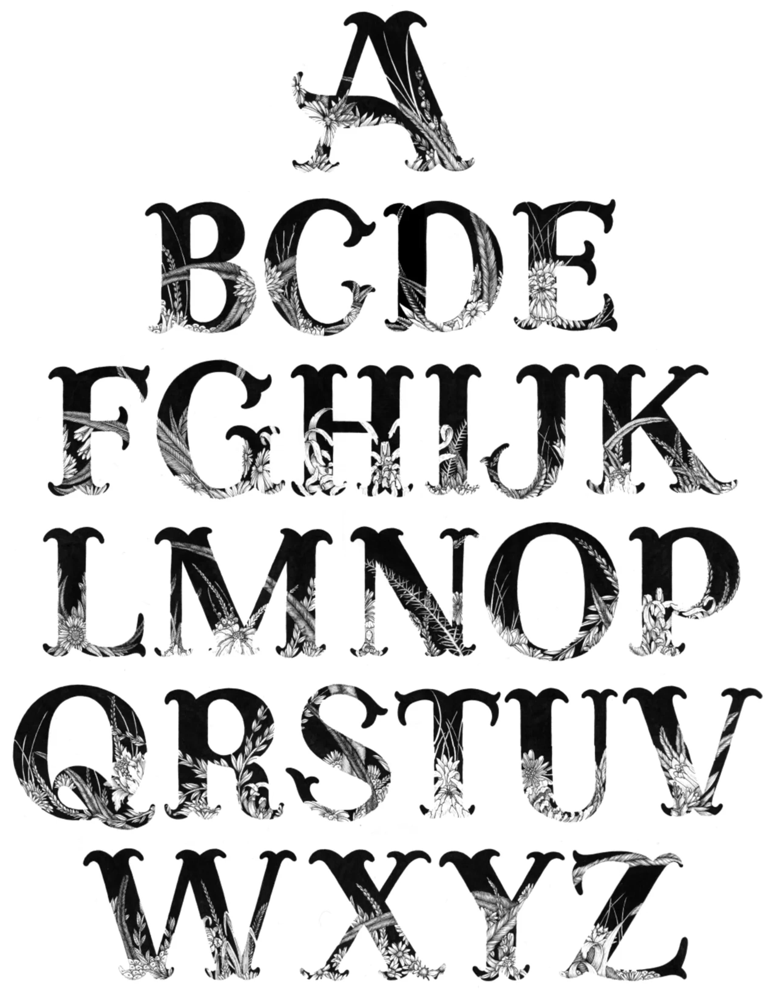 Alphabet s26trj