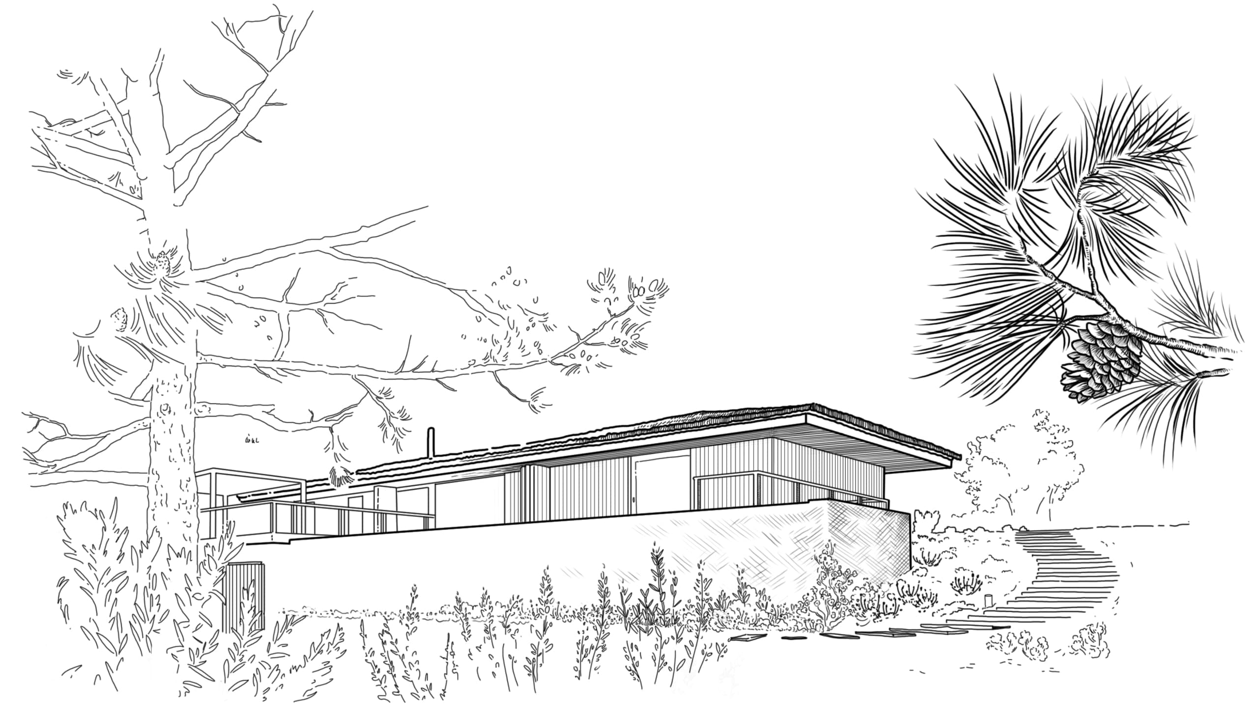 Pen and ink architectural illustration of a low, flat-roofed building with pine tree and understory vegetation in fine line technique.